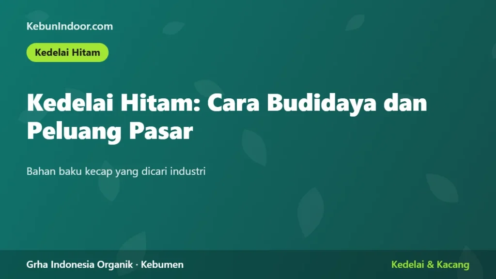 Kedelai Hitam: Cara Budidaya dan Peluang Pasar