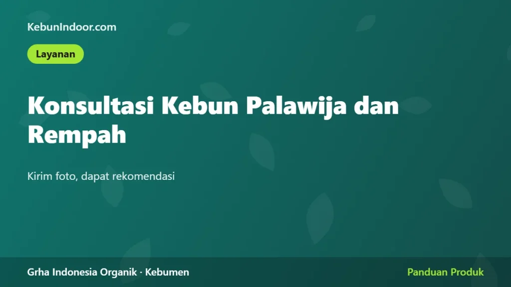 Konsultasi Kebun Palawija dan Rempah: Kirim Foto, Dapat Rekomendasi