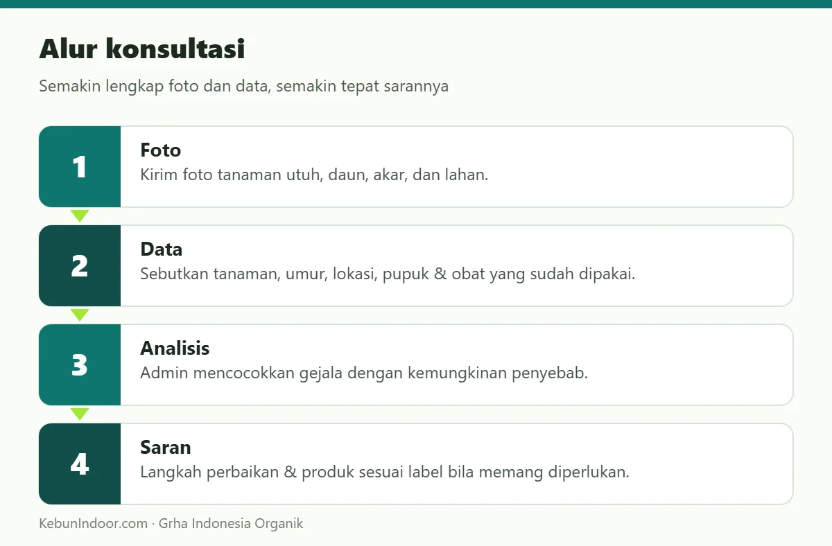 Alur konsultasi