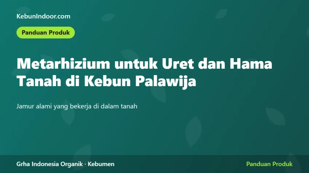 Metarizium untuk Uret dan Hama Tanah di Kebun Palawija