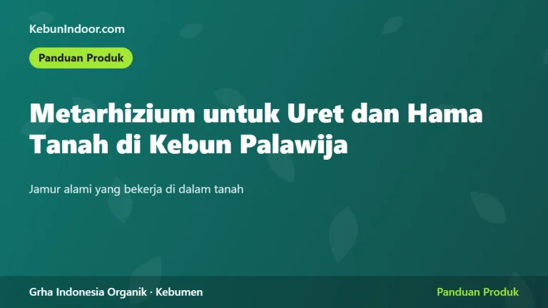 Metarizium untuk Uret dan Hama Tanah di Kebun Palawija