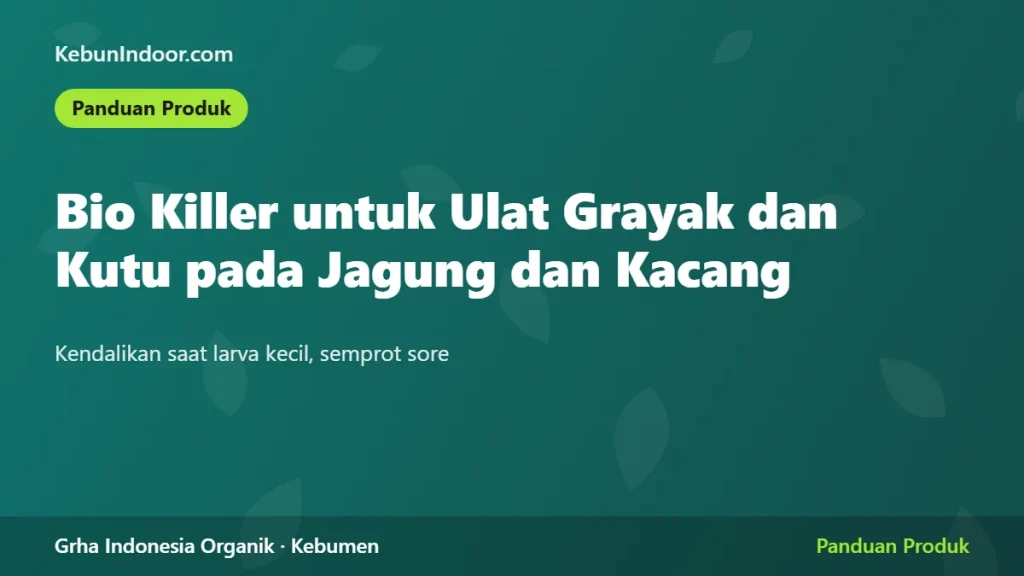 Bio Killer untuk Ulat Grayak dan Kutu pada Jagung dan Kacang: Jadwal Semprot