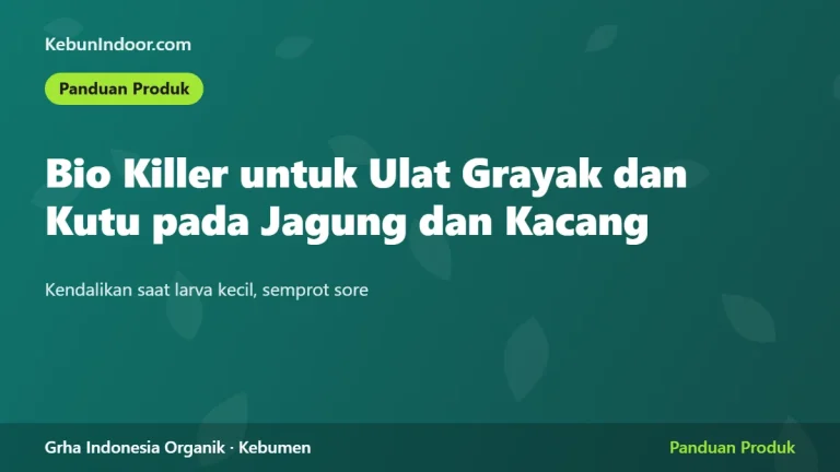Bio Killer untuk Ulat Grayak dan Kutu pada Jagung dan Kacang: Jadwal Semprot