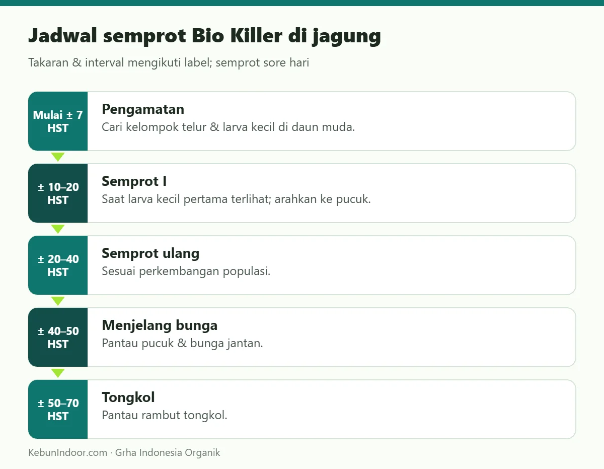 Jadwal semprot Bio Killer di jagung