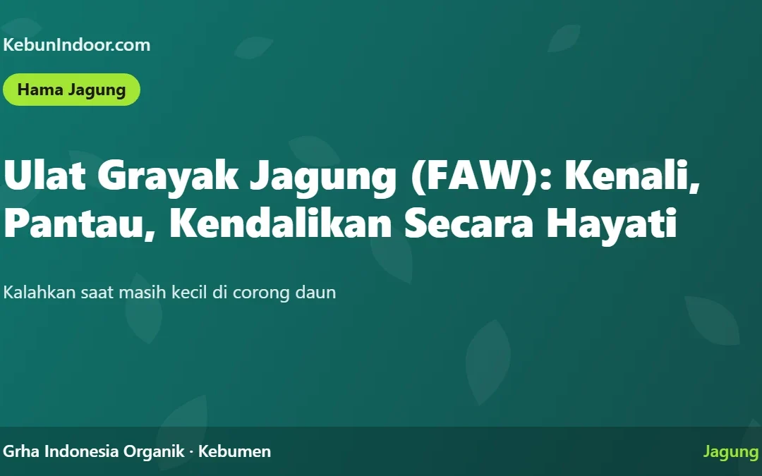 Ulat Grayak Jagung (FAW): Mengenali Telur, Larva, dan Mengendalikannya Secara Hayati