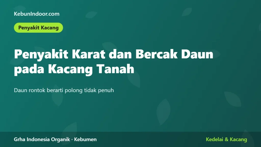 Penyakit Karat dan Bercak Daun pada Kacang Tanah