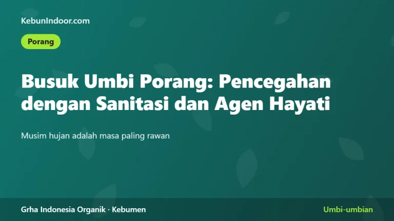 Busuk Umbi Porang: Pencegahan dengan Sanitasi dan Agen Hayati