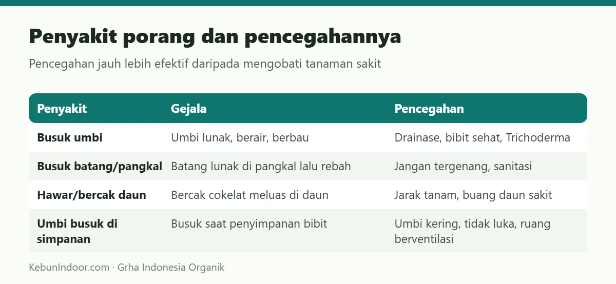 Penyakit porang dan pencegahannya