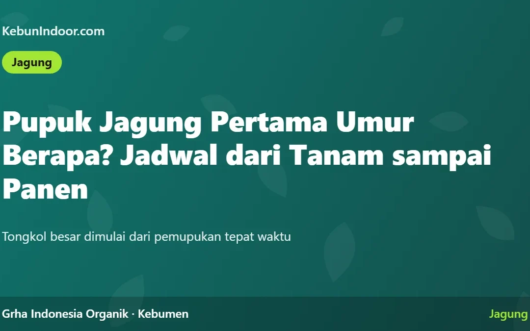 Pupuk Jagung Pertama Umur Berapa? Jadwal Pemupukan Jagung dari Tanam sampai Panen