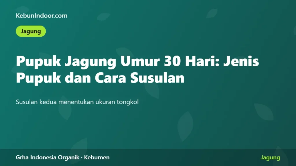 Pupuk Jagung Umur 30 Hari: Jenis Pupuk dan Cara Aplikasi Susulan