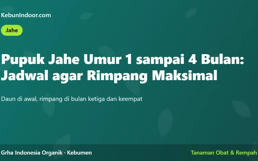 Pupuk Jahe Umur 1 sampai 4 Bulan: Jadwal agar Rimpang Maksimal