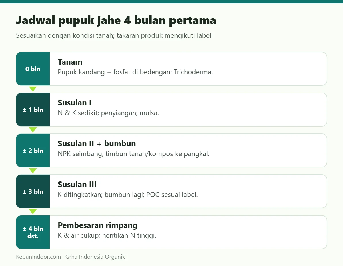 Jadwal pupuk jahe 4 bulan pertama