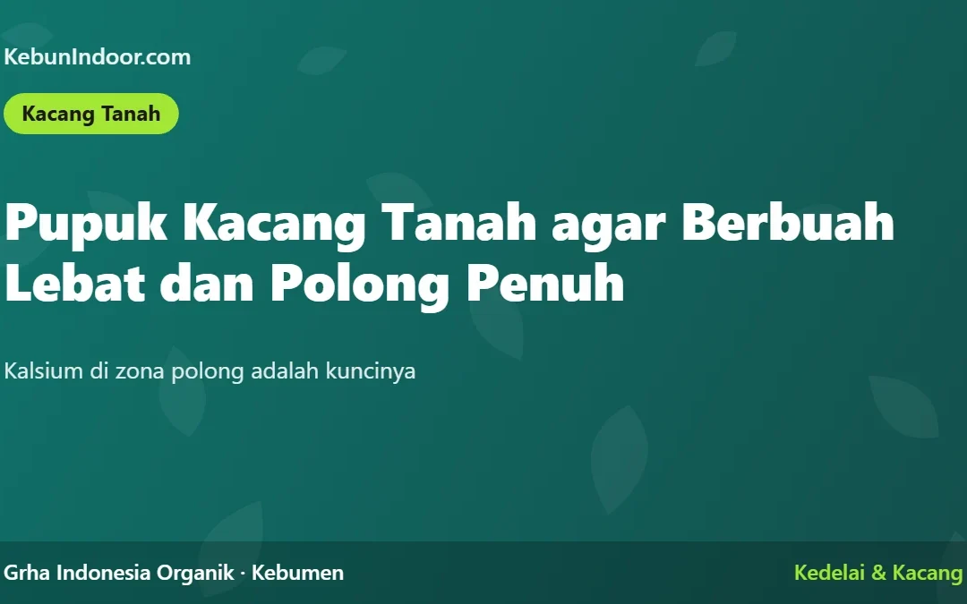 Pupuk Kacang Tanah agar Berbuah Lebat dan Polong Penuh