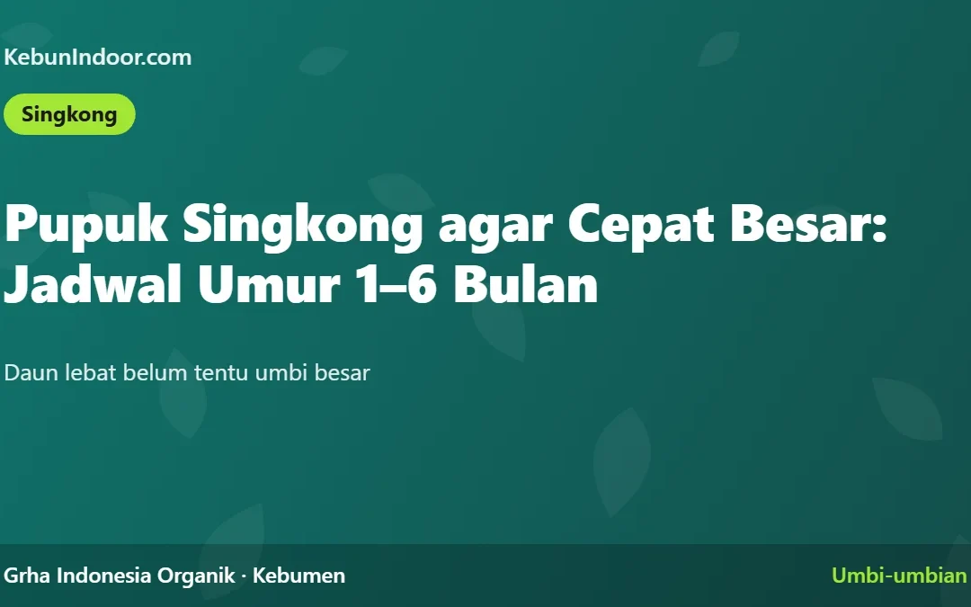 Pupuk Singkong agar Cepat Besar: Jadwal Umur 1 sampai 6 Bulan