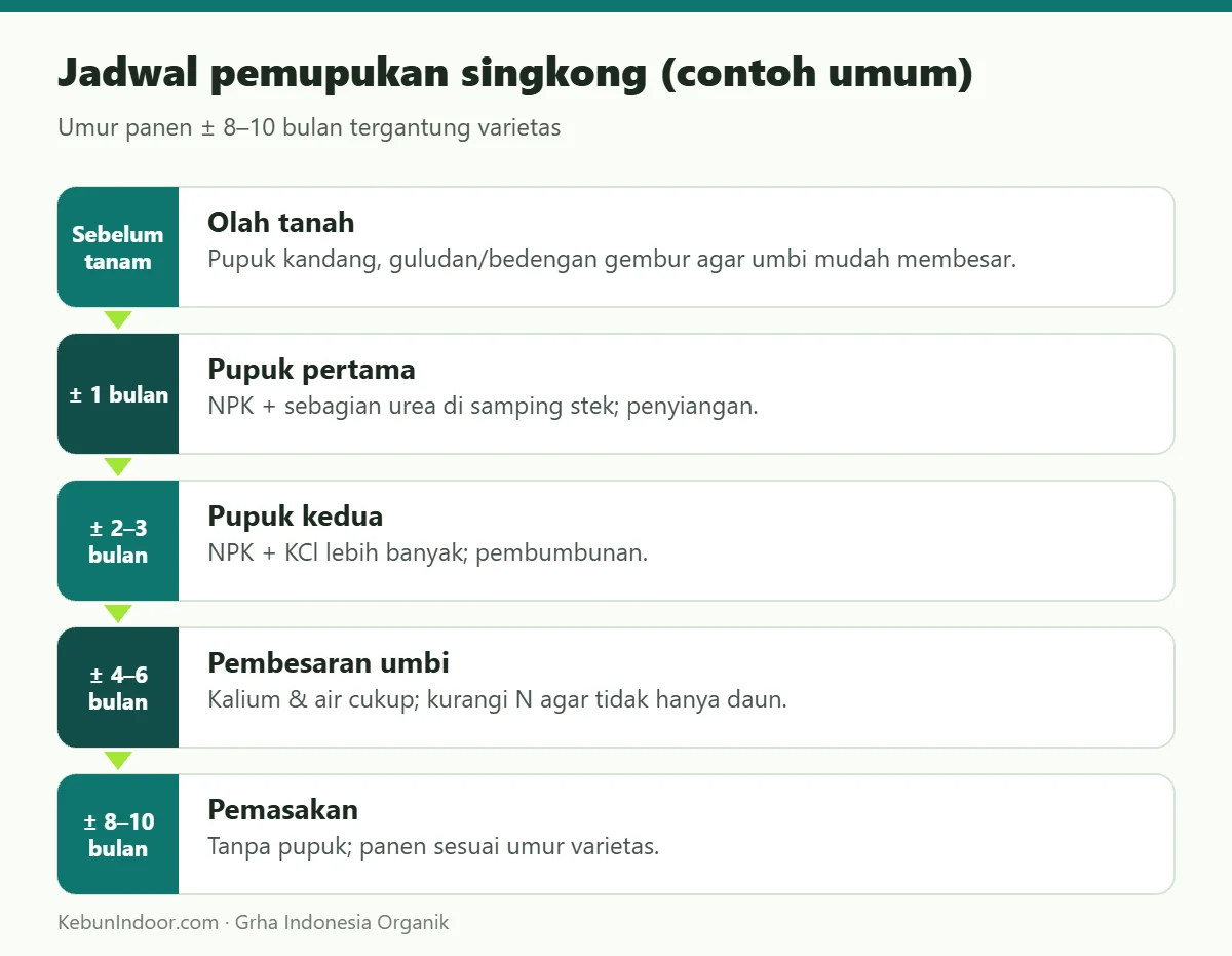 Jadwal pemupukan singkong (contoh umum)