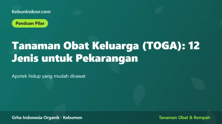 Tanaman Obat Keluarga (TOGA): 12 Jenis untuk Pekarangan dan Cara Merawatnya