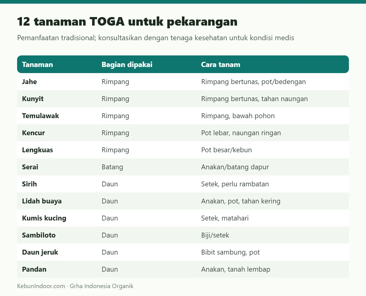 12 tanaman TOGA untuk pekarangan