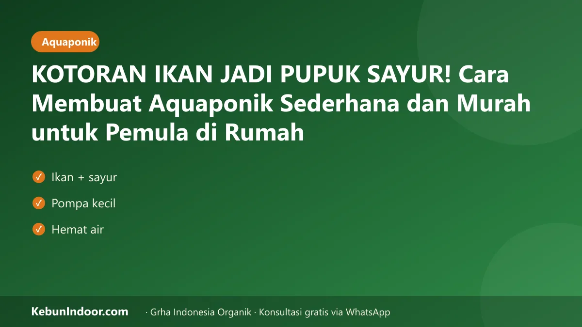 KOTORAN IKAN JADI PUPUK SAYUR! Cara Membuat Aquaponik Sederhana dan Murah untuk Pemula di Rumah