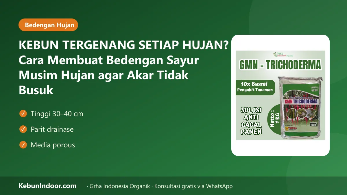 KEBUN TERGENANG SETIAP HUJAN? Cara Membuat Bedengan Sayur Musim Hujan agar Akar Tidak Busuk