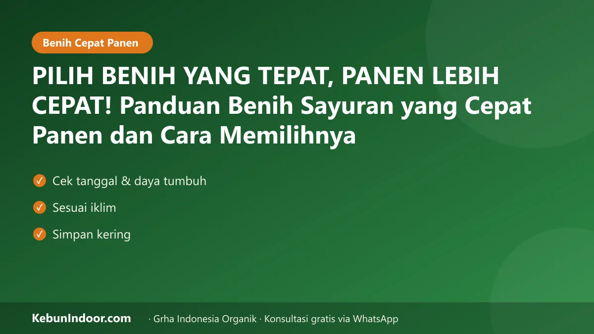 PILIH BENIH YANG TEPAT, PANEN LEBIH CEPAT! Panduan Benih Sayuran yang Cepat Panen dan Cara Memilihnya