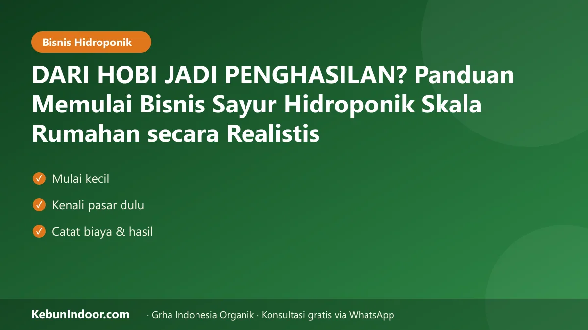 DARI HOBI JADI PENGHASILAN? Panduan Memulai Bisnis Sayur Hidroponik Skala Rumahan secara Realistis