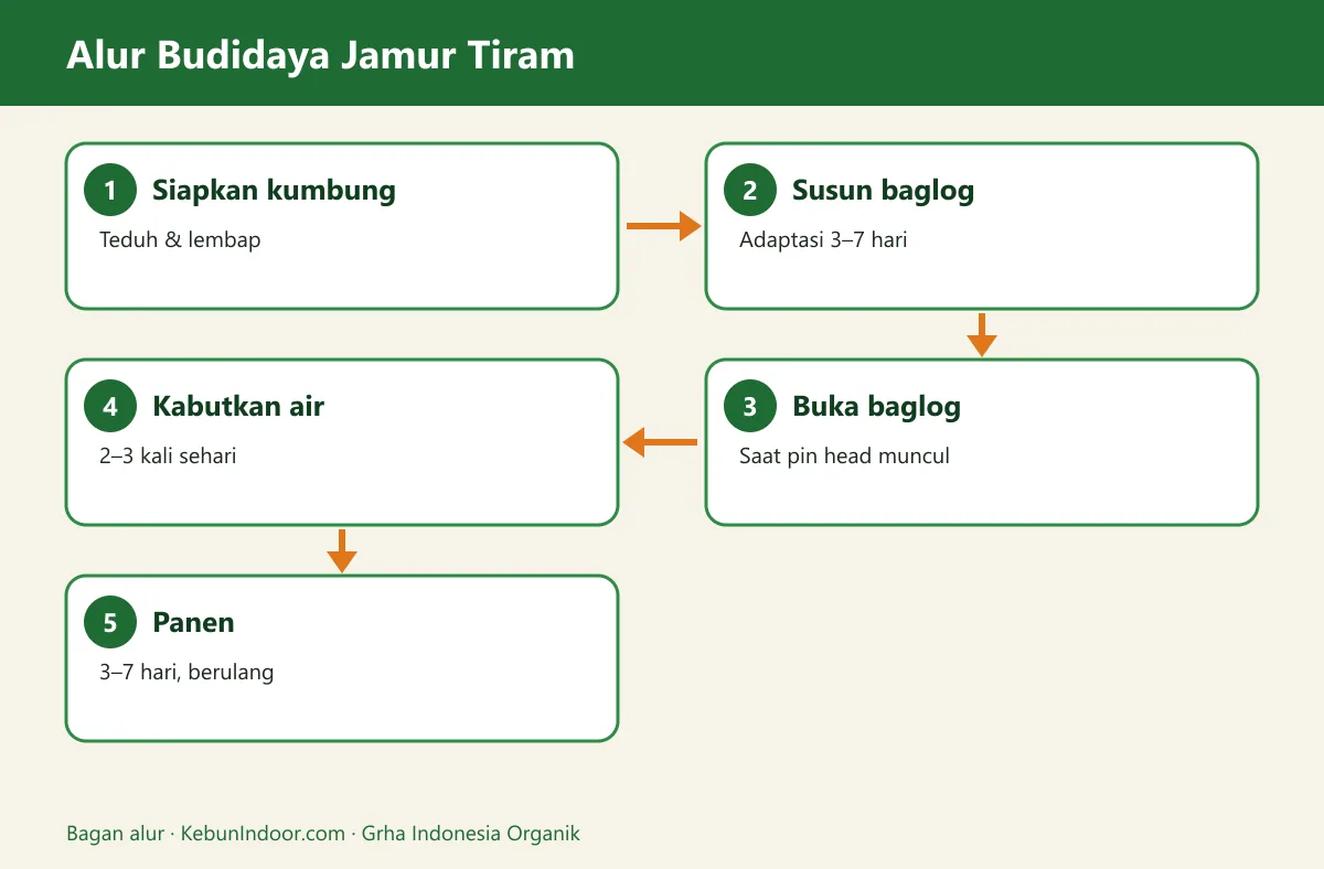 Bagan alur budidaya jamur tiram