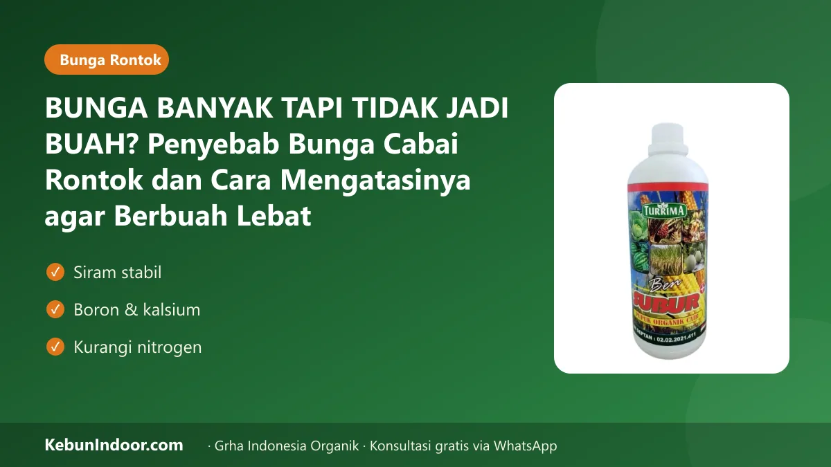 Bunga cabai rontok