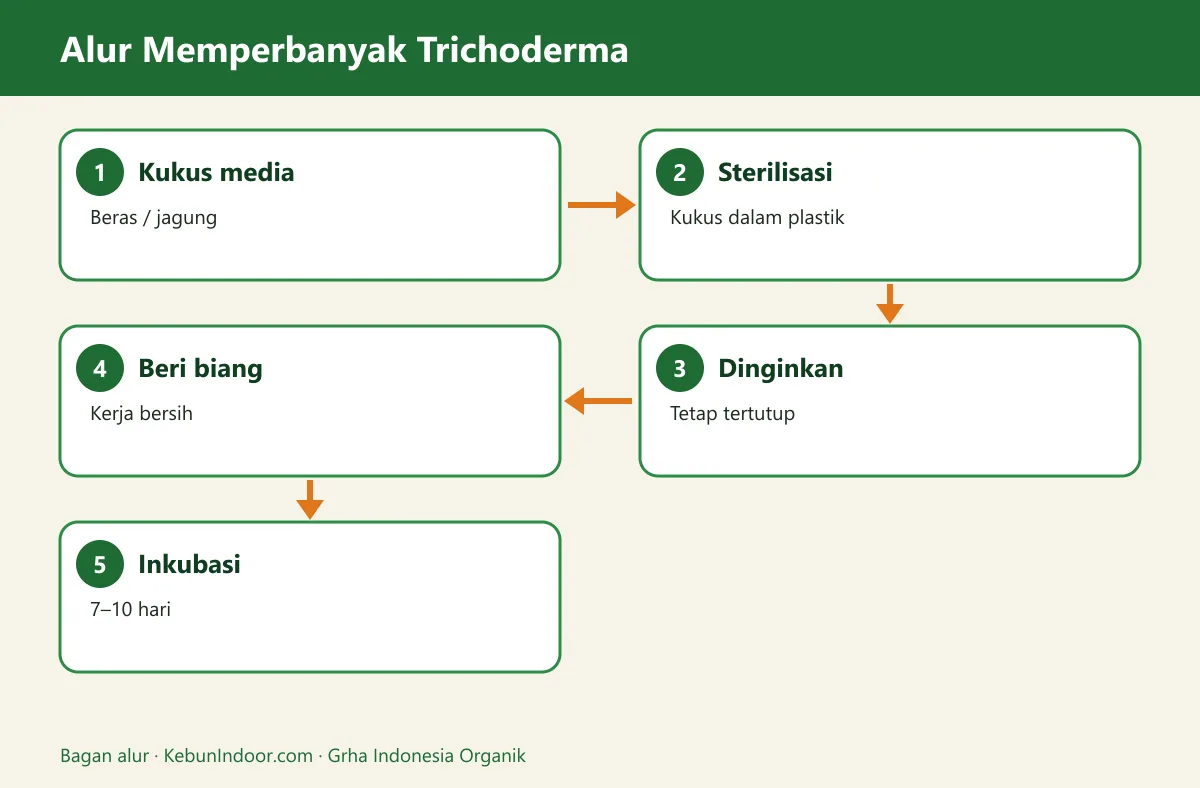 Bagan alur cara memperbanyak trichoderma