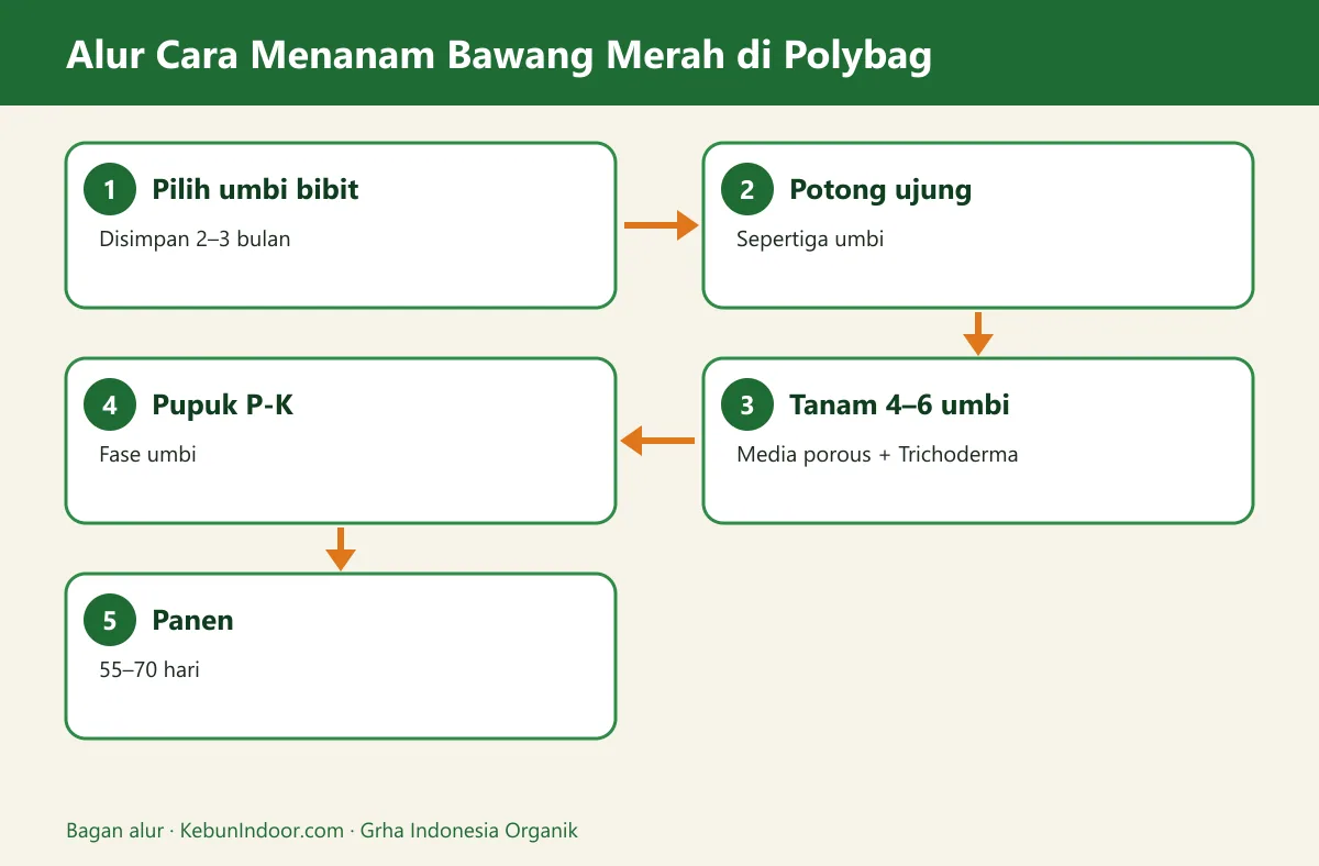 Bagan alur cara menanam bawang merah di polybag
