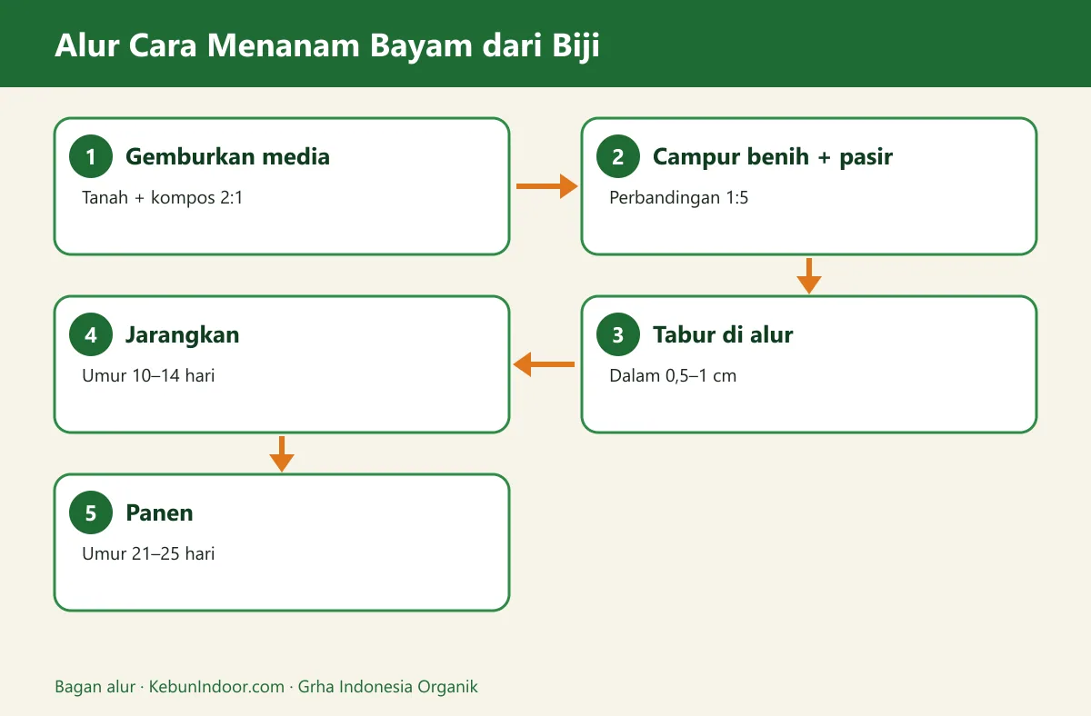 Bagan alur cara menanam bayam