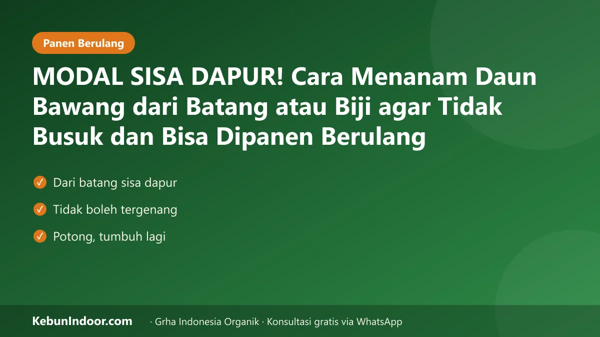 Cara menanam daun bawang