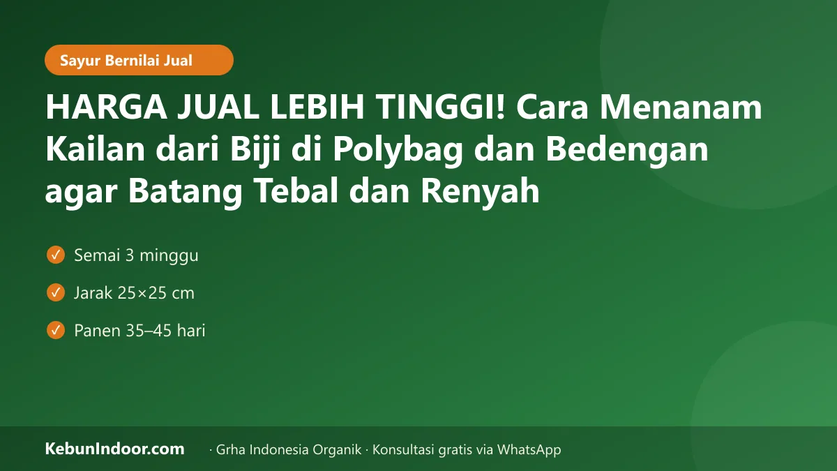 Cara menanam kailan