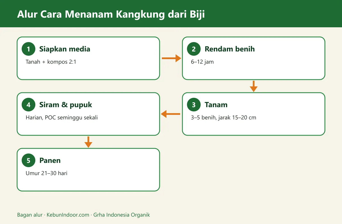 Bagan alur cara menanam kangkung