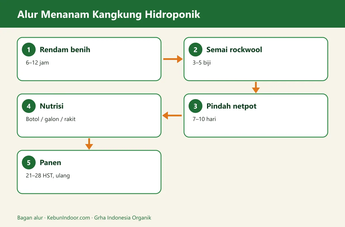 Bagan alur cara menanam kangkung hidroponik