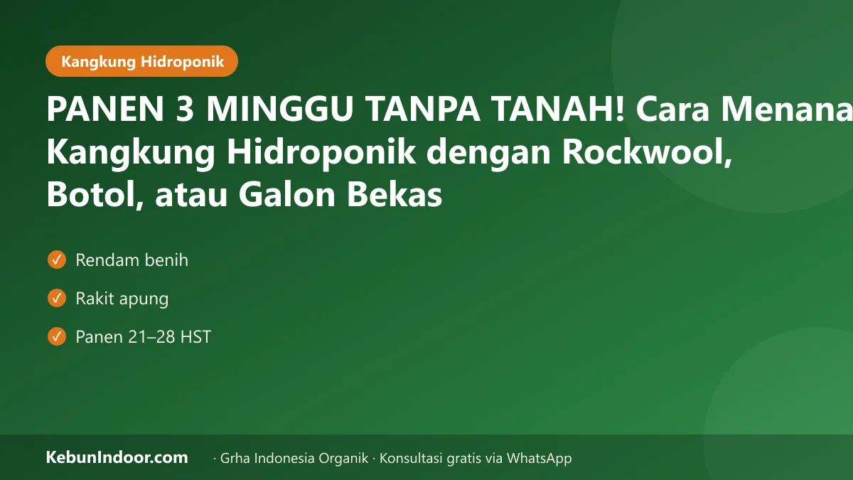 Cara menanam kangkung hidroponik