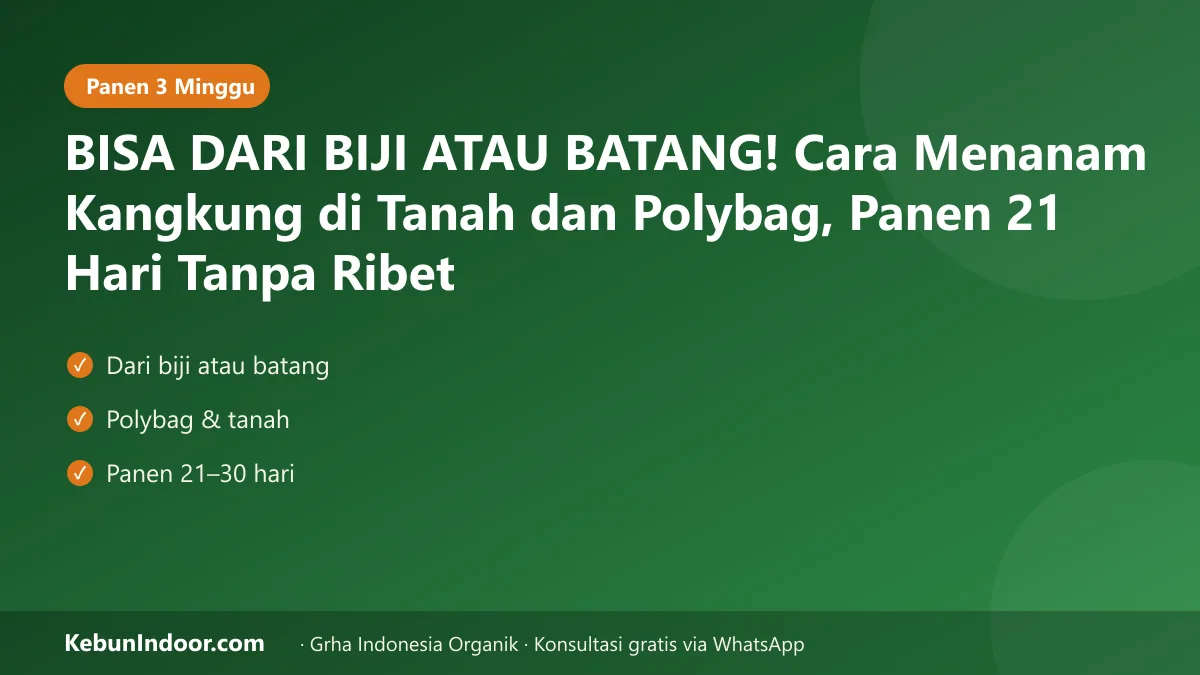 Cara menanam kangkung