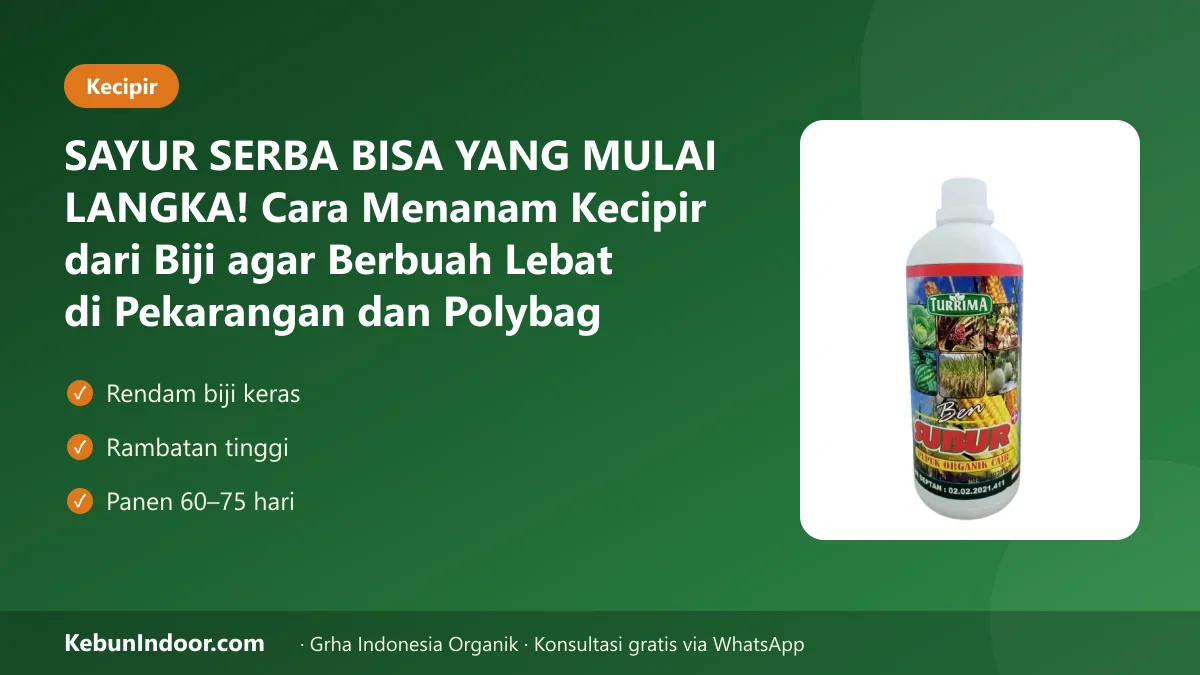 SAYUR SERBA BISA YANG MULAI LANGKA! Cara Menanam Kecipir dari Biji agar Berbuah Lebat di Pekarangan dan Polybag