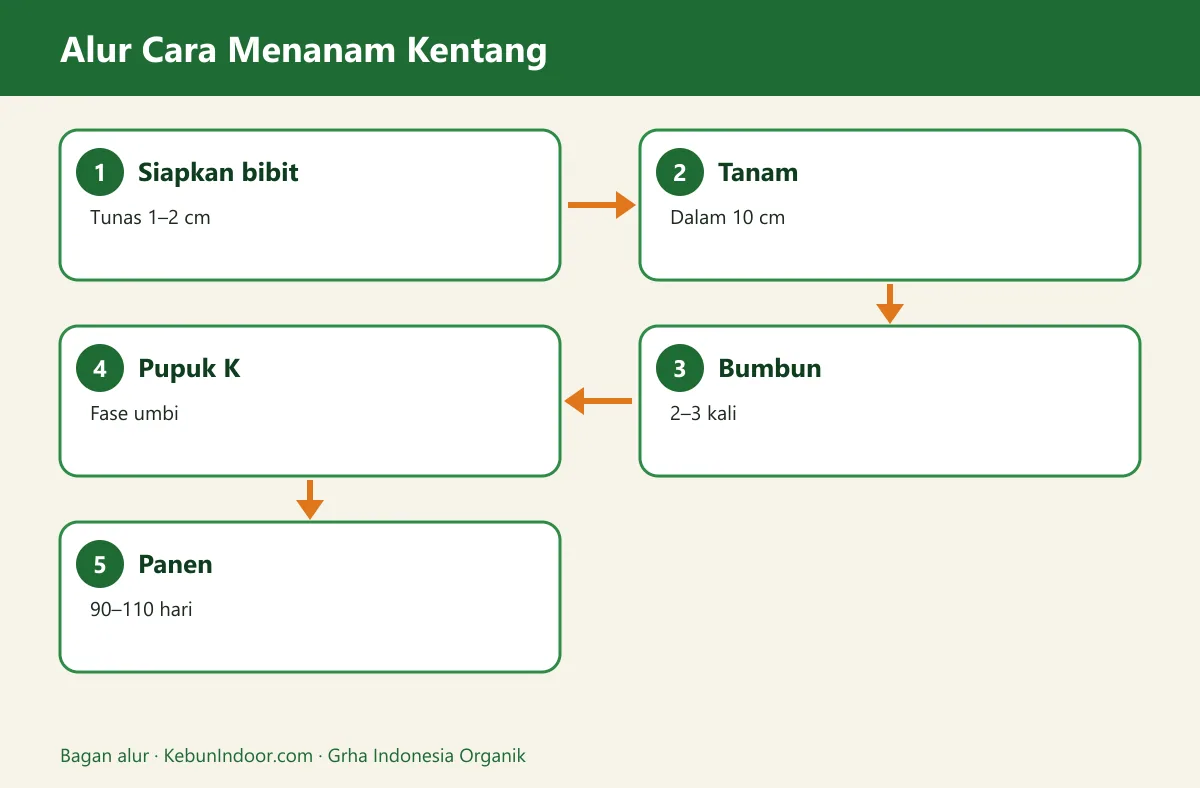 Bagan alur cara menanam kentang
