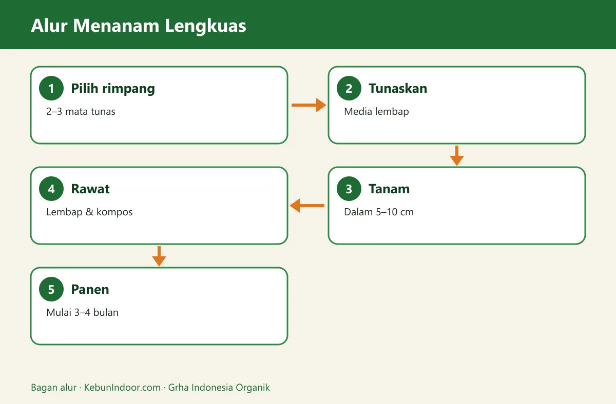 Bagan alur cara menanam lengkuas