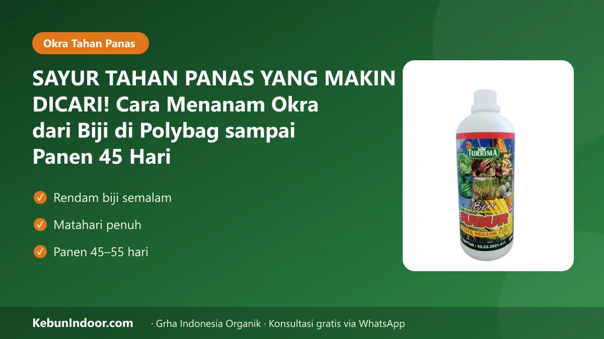 Cara menanam okra