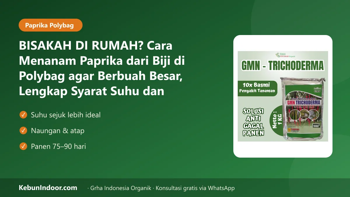 Cara menanam paprika