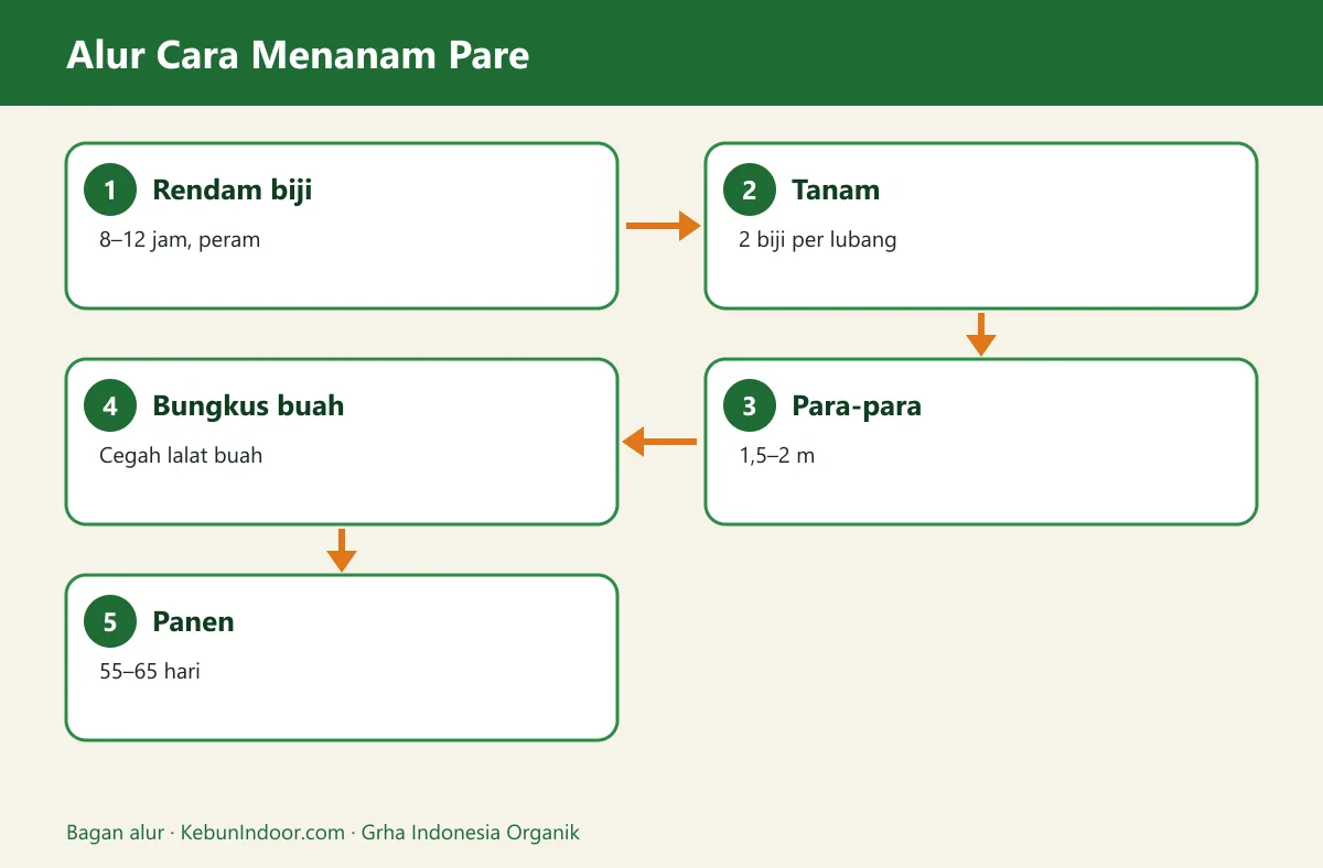 Bagan alur cara menanam pare