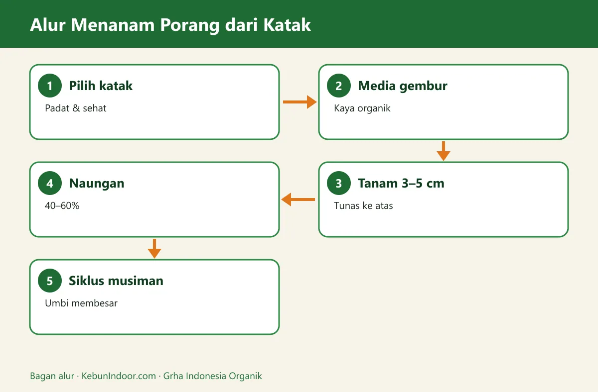 Bagan alur cara menanam porang dari katak