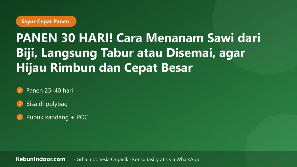 Cara menanam sawi