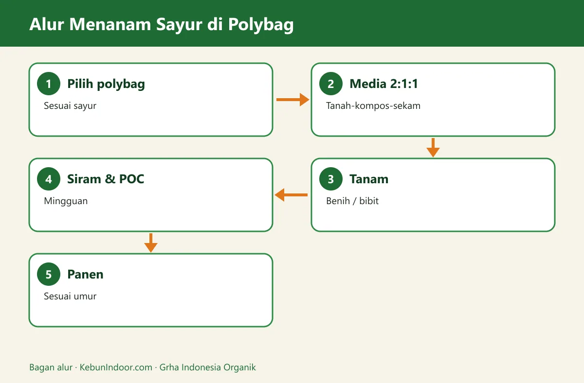 Bagan alur cara menanam sayur di polybag