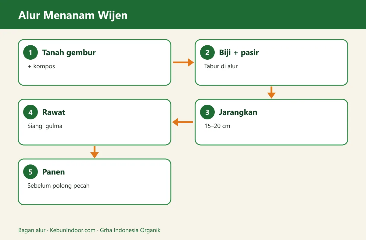 Bagan alur cara menanam wijen