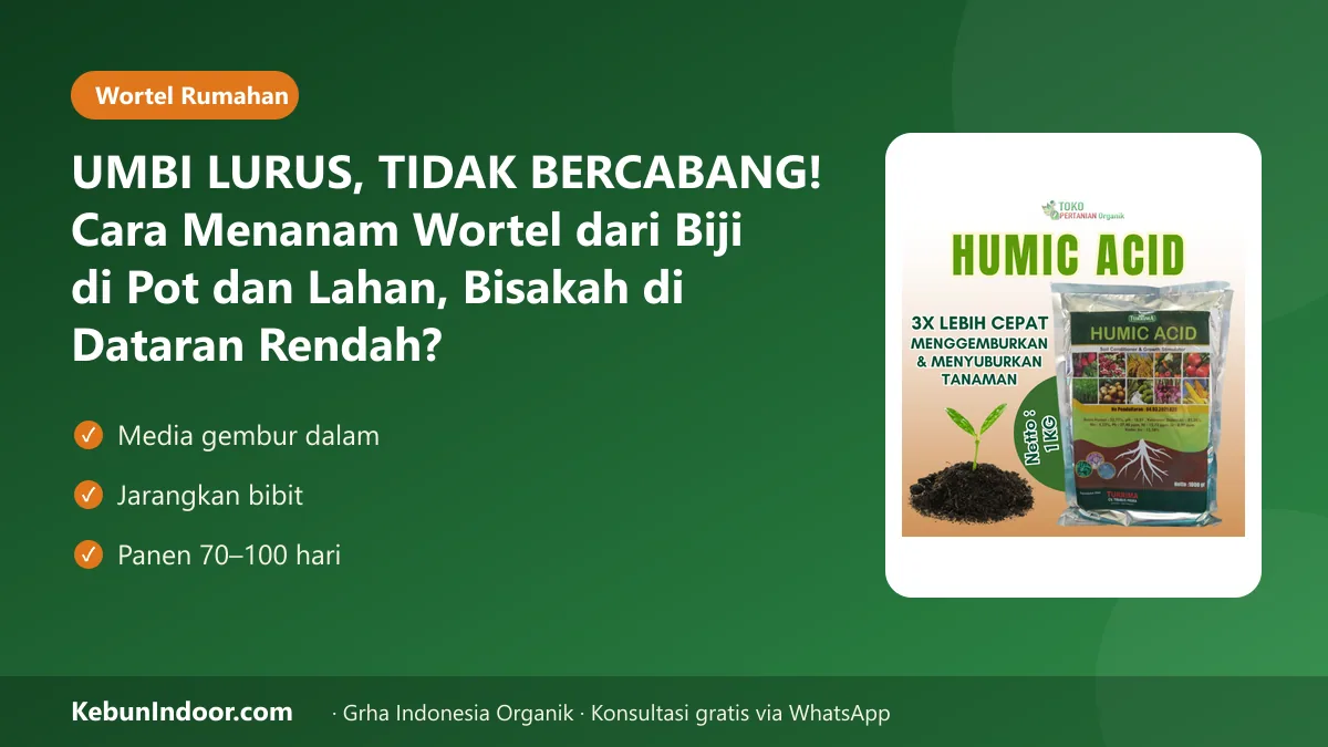 Cara menanam wortel