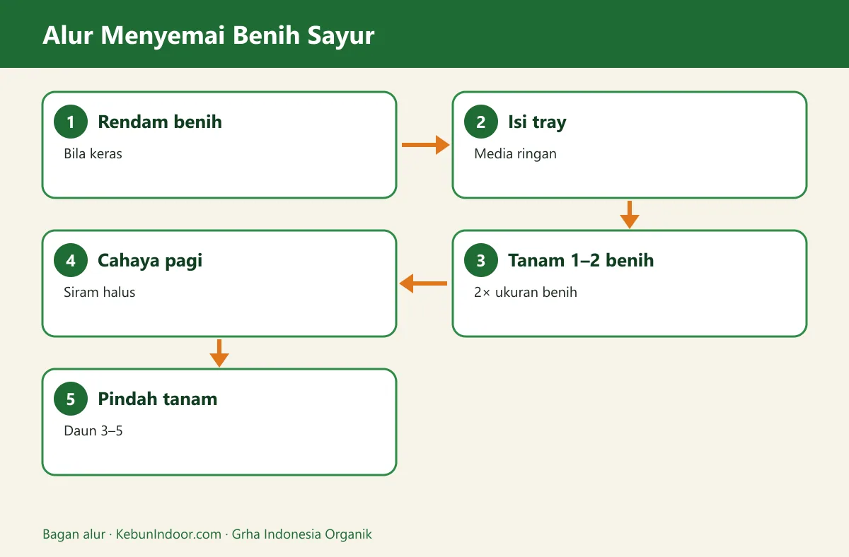 Bagan alur cara menyemai benih sayur