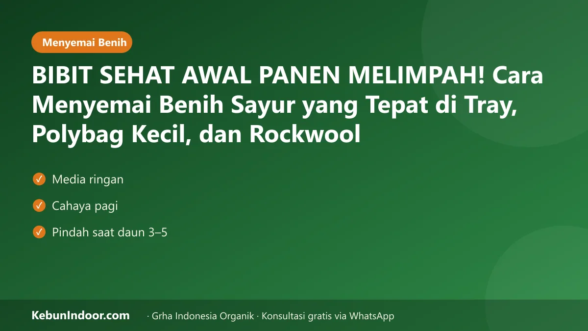 BIBIT SEHAT AWAL PANEN MELIMPAH! Cara Menyemai Benih Sayur yang Tepat di Tray, Polybag Kecil, dan Rockwool