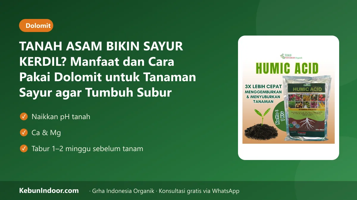 TANAH ASAM BIKIN SAYUR KERDIL? Manfaat dan Cara Pakai Dolomit untuk Tanaman Sayur agar Tumbuh Subur